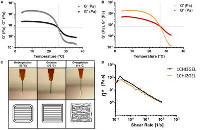 Tripolyphosphate-Crosslinked Chitosan/Gelatin Biocomposite Ink for 3D Printing of Uniaxial Scaffolds